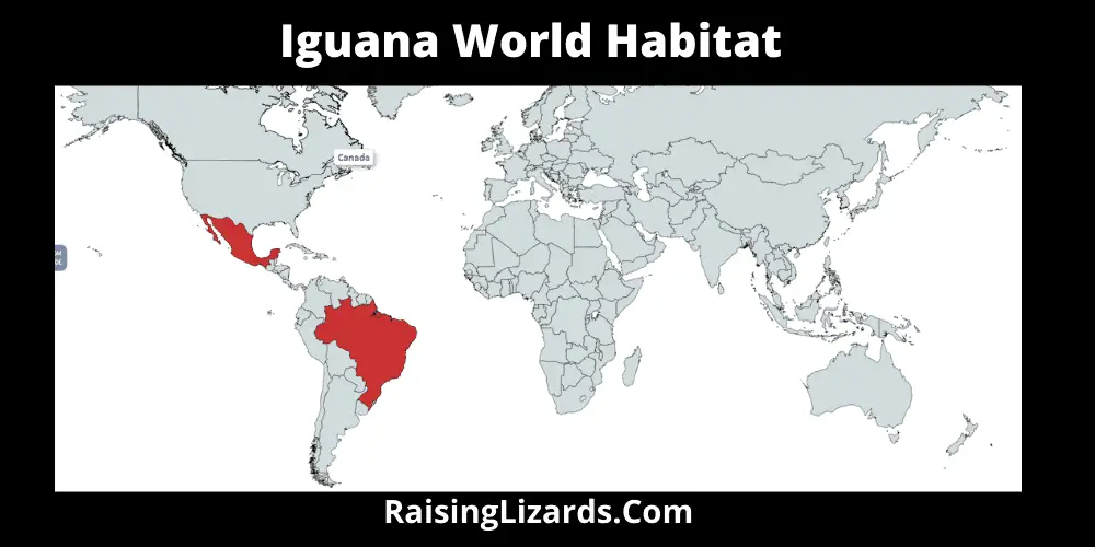 iguana world habitats